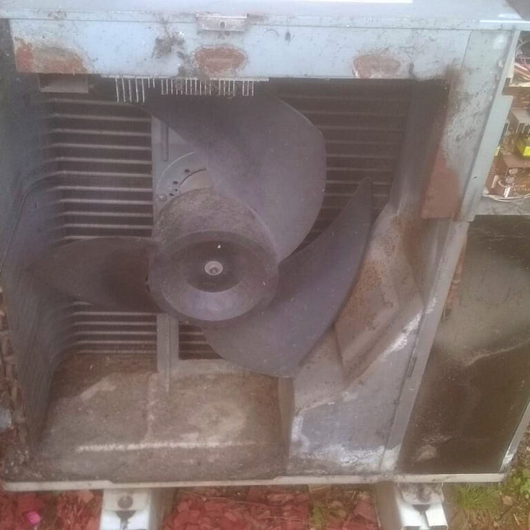 Photo du groupe extérieur à Lille