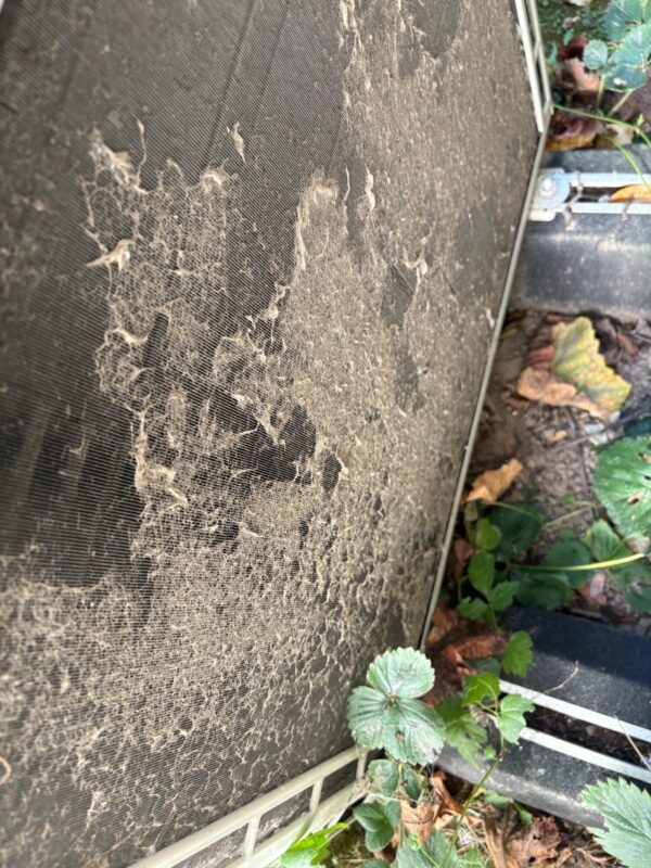 Hiver avant 1 Hiver avant 1